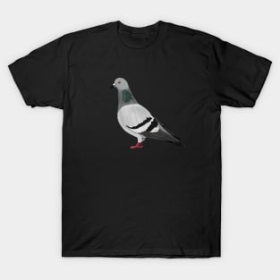 Pigeon Bird Birder Birdlover Birdwatcher Animal T-Shirt